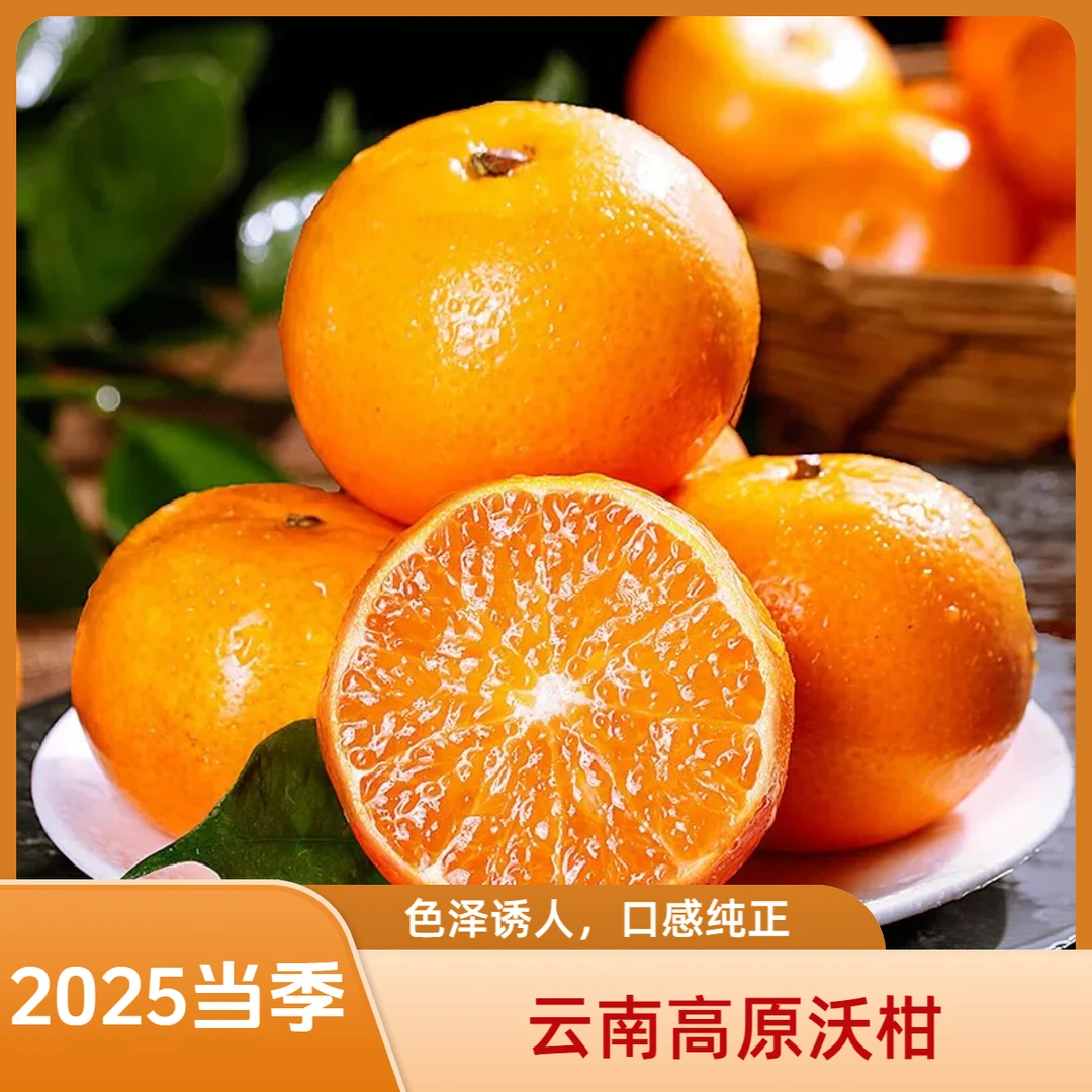 【狗狗农场】哀牢山老树沃柑橘子当季新鲜云南水果爆甜多汁现采现发