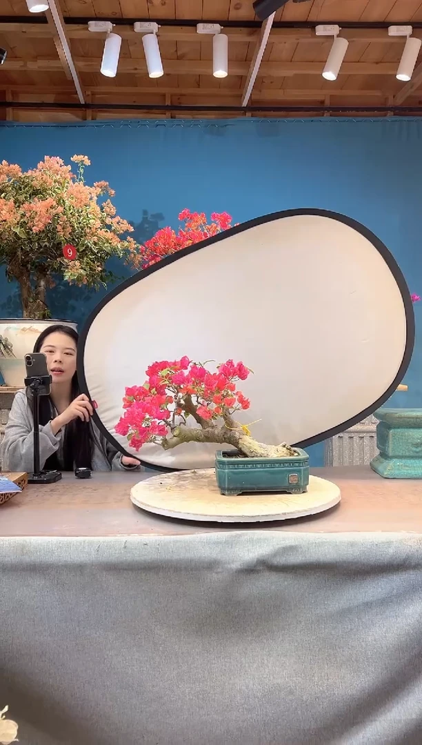 少量花朵（建议范围：2朵-5朵 或40%以下）同安红