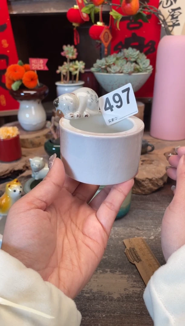 【闪购商品】摆件497福利知木小芳花盆