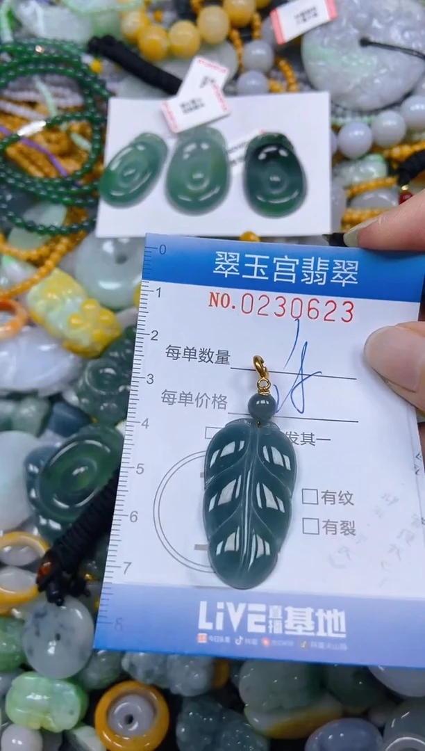 颈饰未镶嵌翡翠闪购C0230623