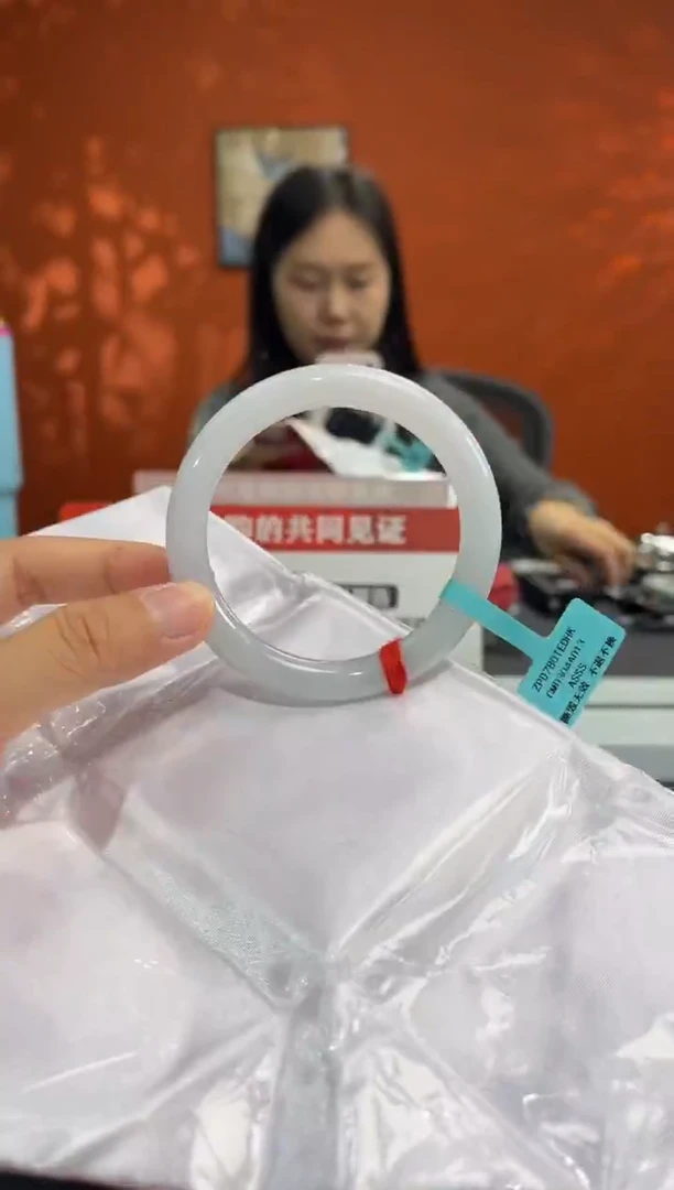 未镶嵌手镯翡翠9