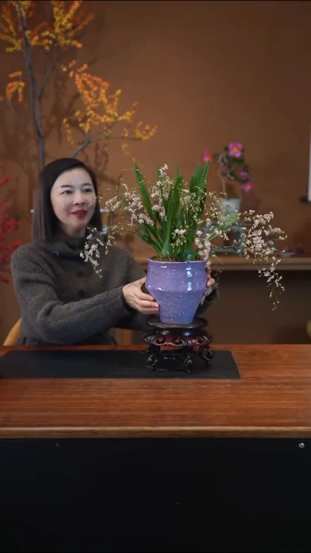 全部花朵粉梦香盆景盆景