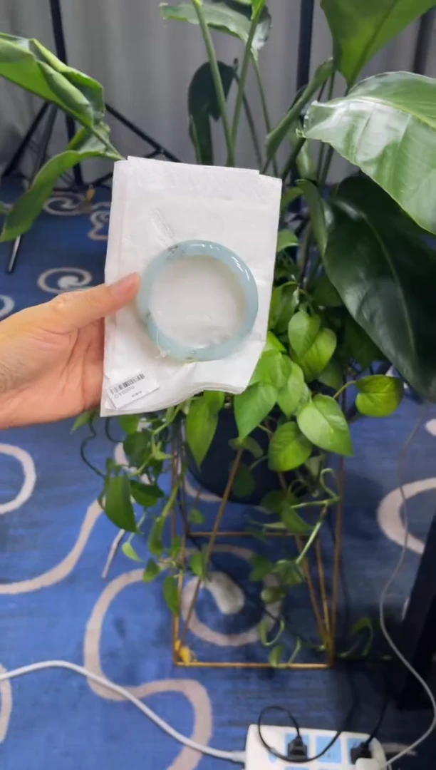 未镶嵌手镯翡翠6265****