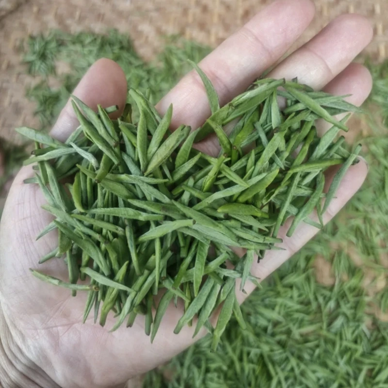 （2025年新茶少量上市）明前头采舒城小兰花白霜雾毫