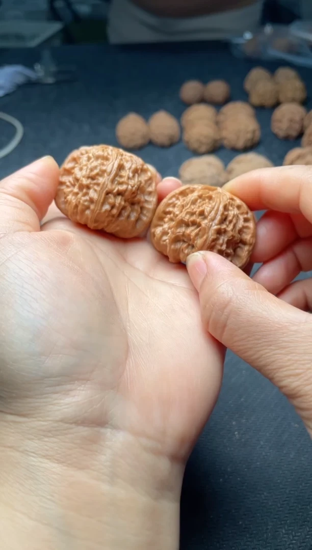 把件文玩核桃w69   白狮子 40尺