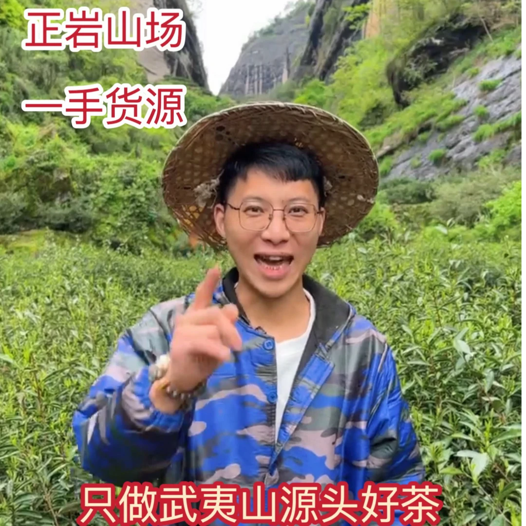 XM201号 武夷岩茶水金龟 武夷山源头直发