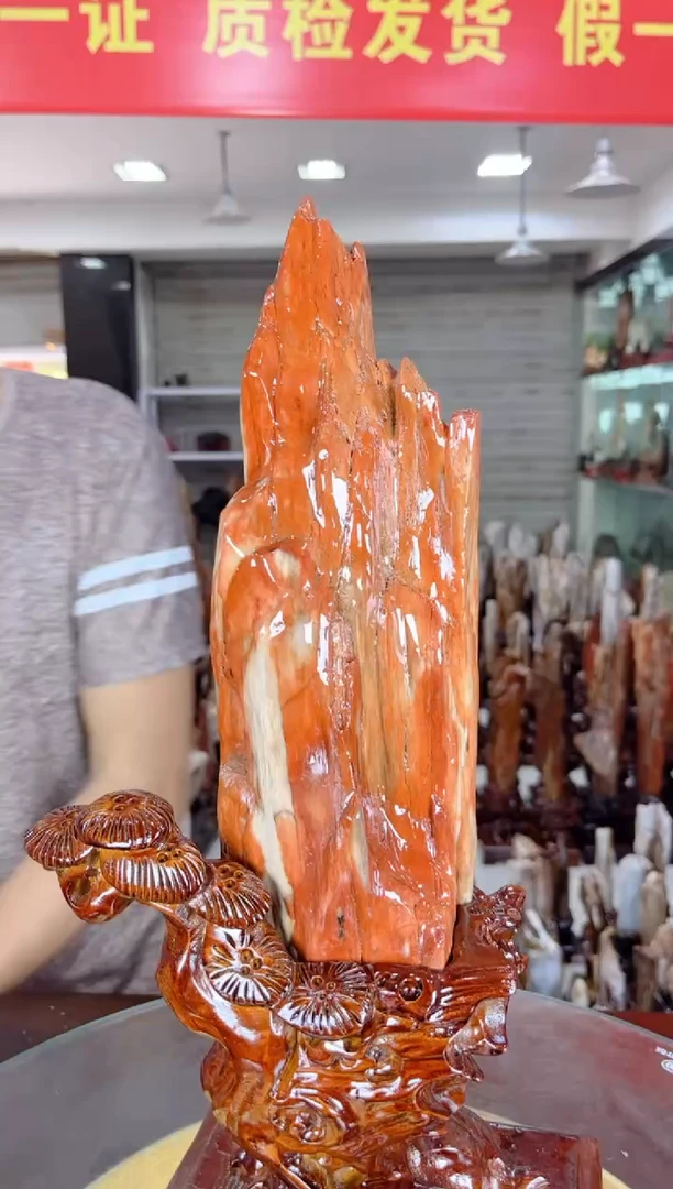 【闪购商品】硅化玉珠宝奇石未镶嵌缅甸天然树化玉