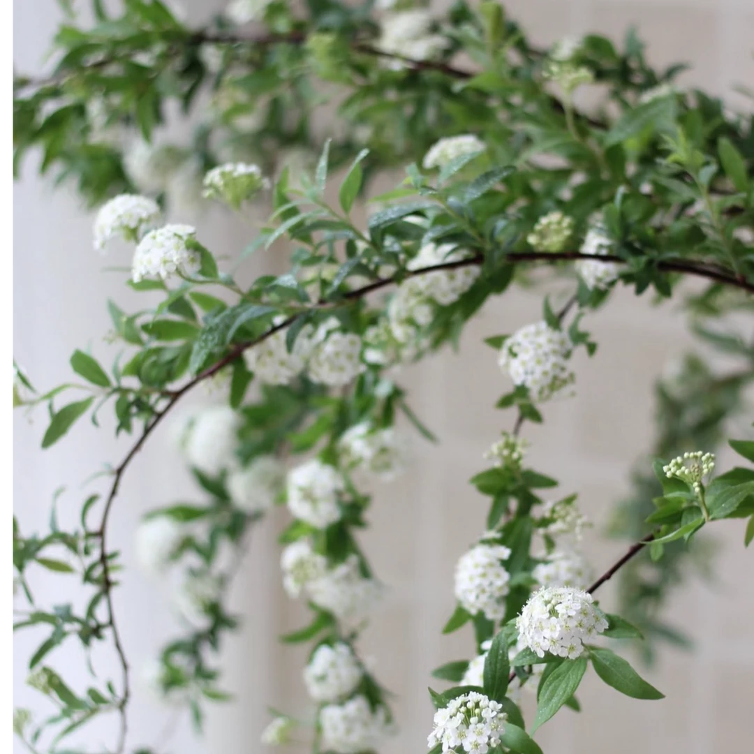 你还会安静的聆听小手球带给你的一份宁静