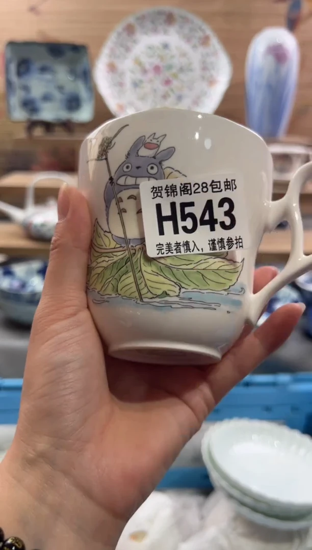 【闪购商品】瓷片当天满28米包邮H543