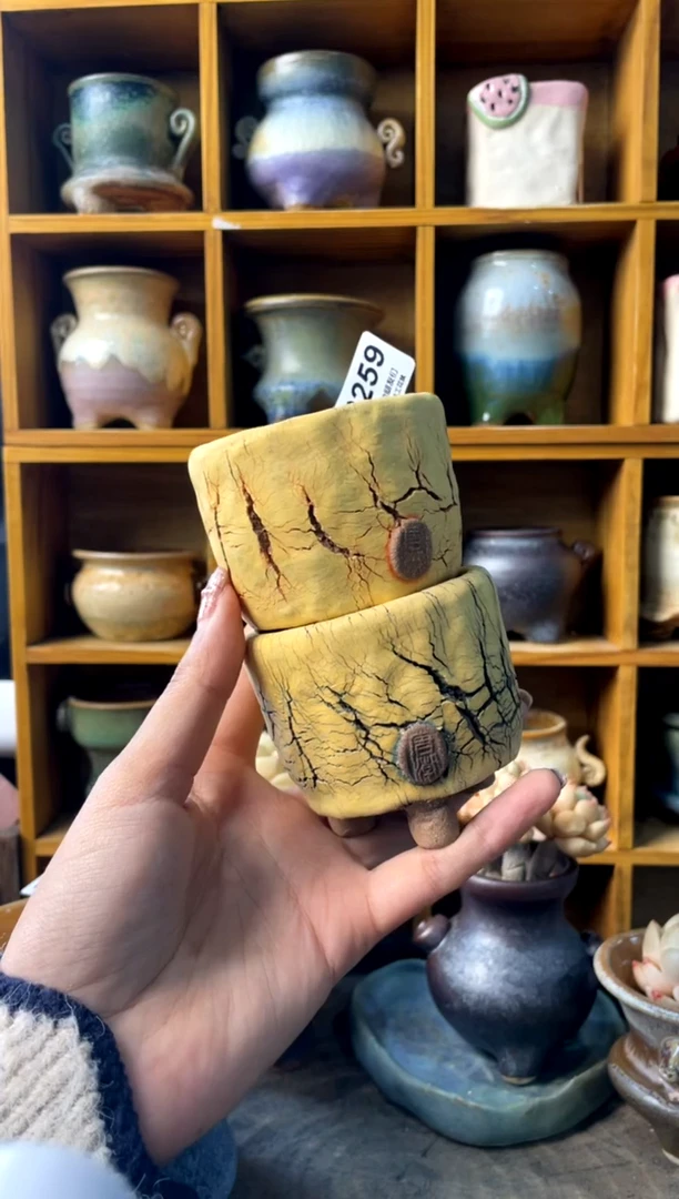 256内口5【多肉花盆多肉盆】