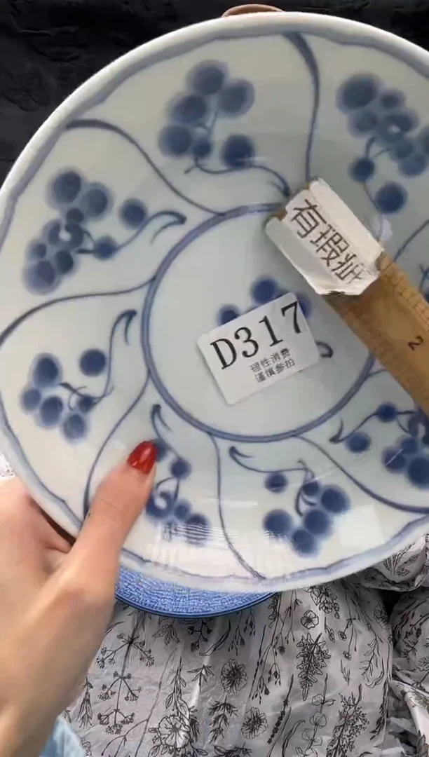 瓷片雪*呀       D317