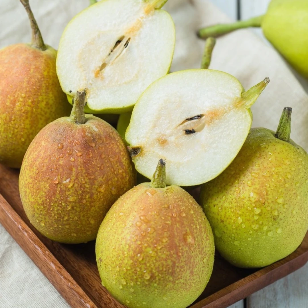 正宗山东媚梨脆甜多汁新梨七号小香梨纯甜无渣农家种植T3228