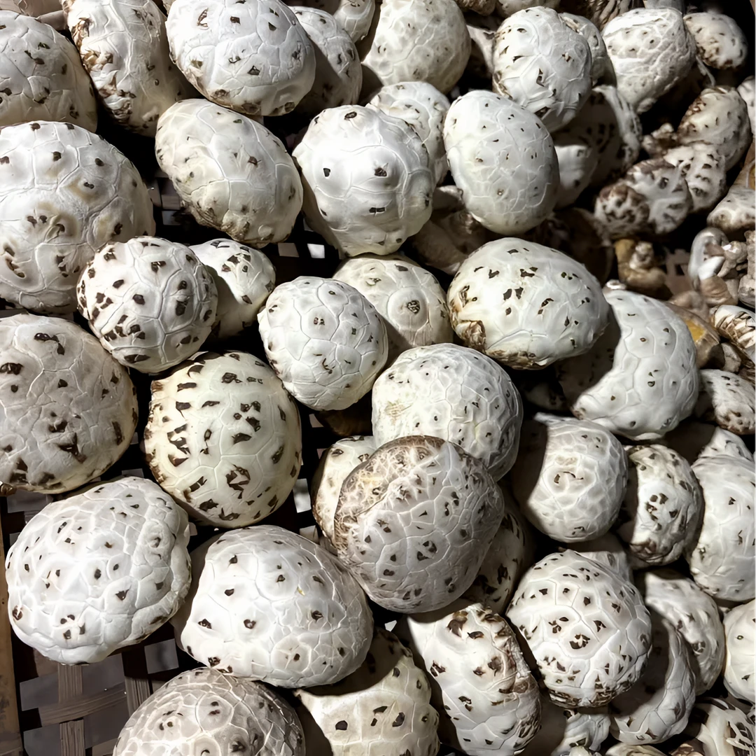 2025河南泌阳干花菇香菇