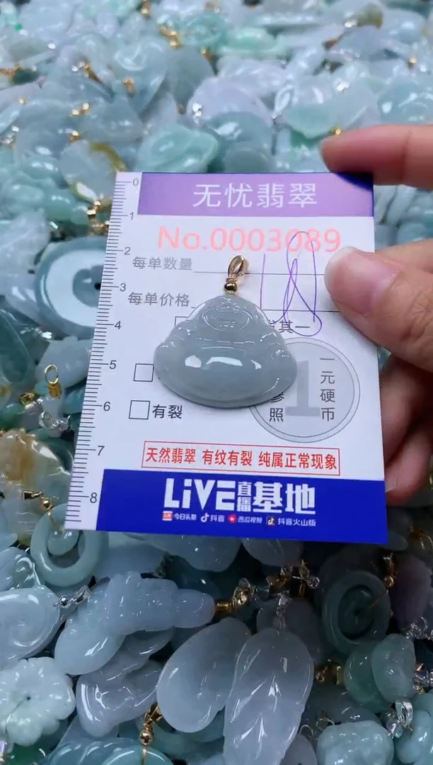 颈饰未镶嵌翡翠3089