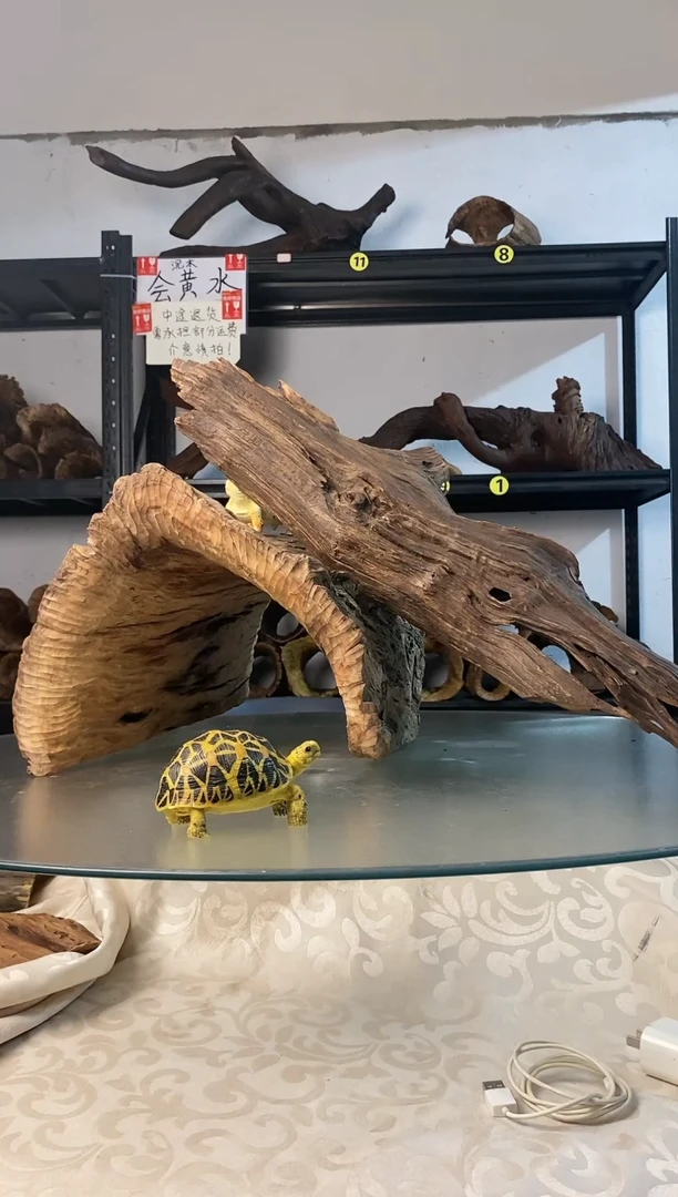 墨*莫鱼缸爬宠造景素材421