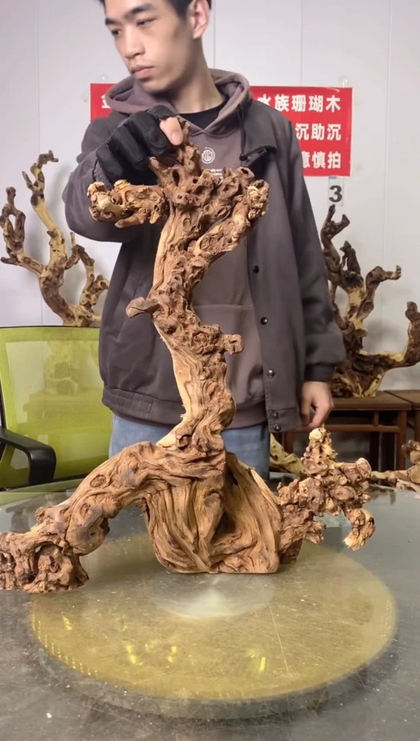 【闪购商品】香榧木金丝红木 羊蹄甲