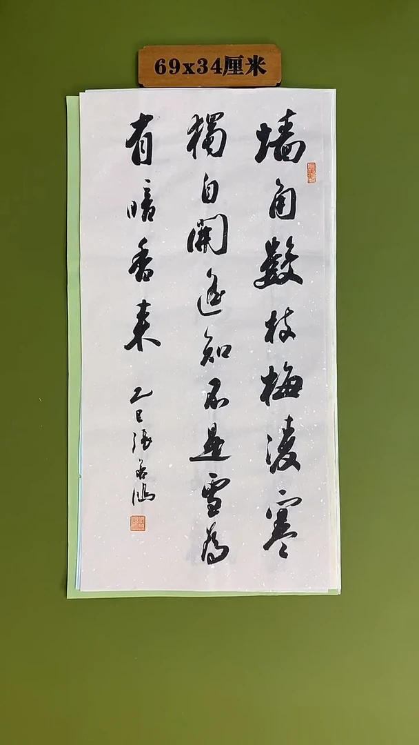 书法书法 张若鸿 尺寸69cm*34cm