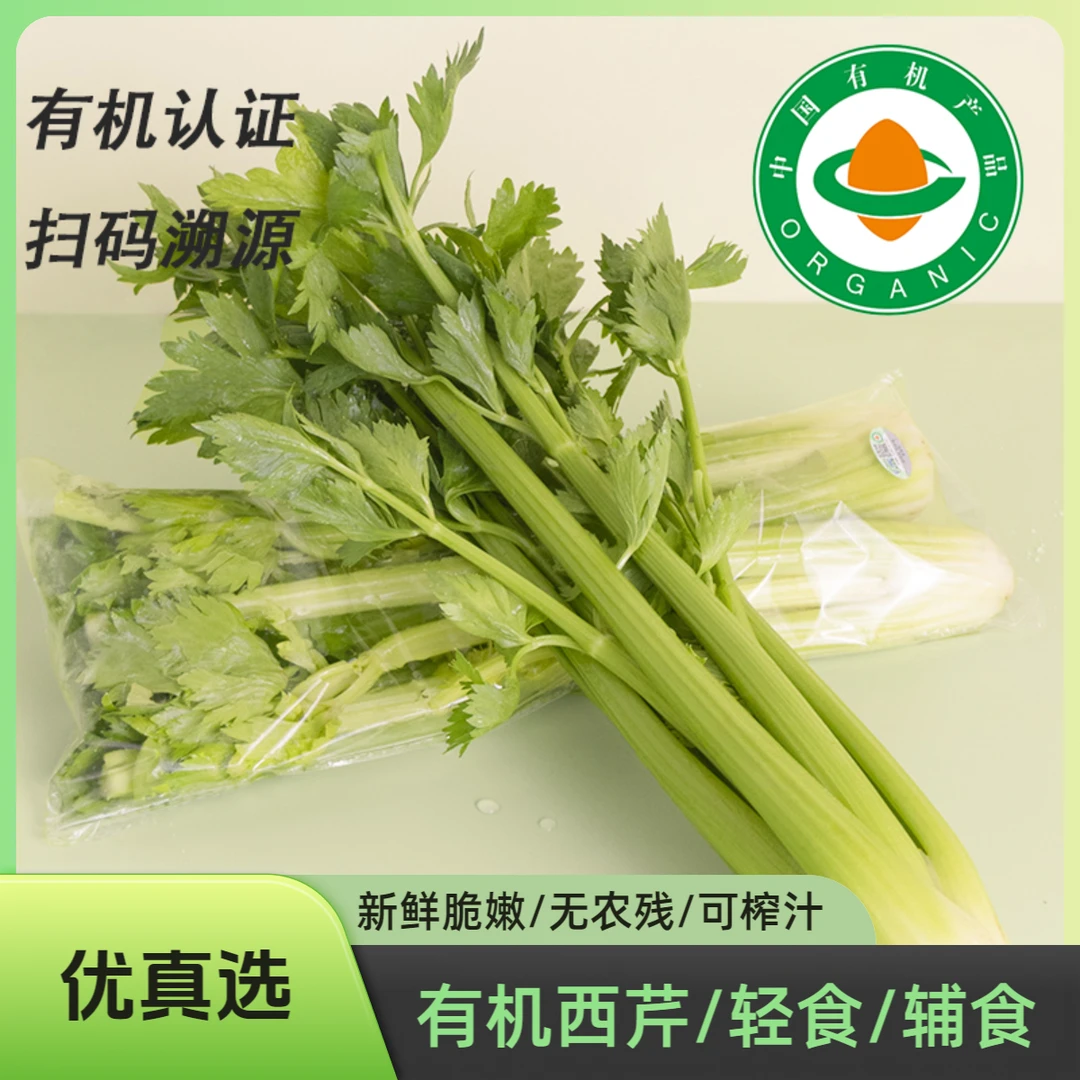 新鲜有机西芹3斤健康美味可榨汁脆嫩无筋绿色蔬菜轻食沙拉食材