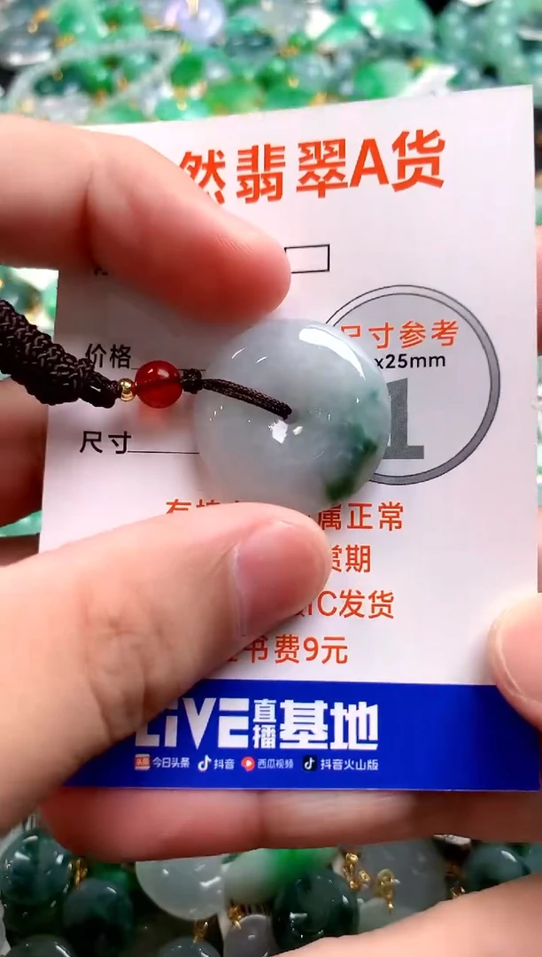 颈饰未镶嵌翡翠25100503