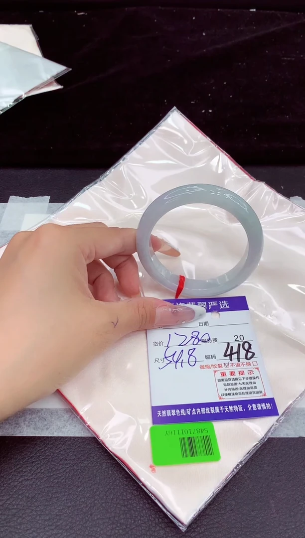 未镶嵌手镯翡翠1