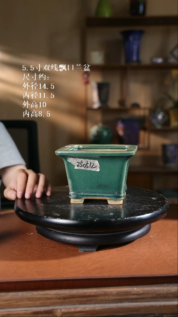 【限时买三免一活动】5.5寸双线飘口兰盆 随机发货