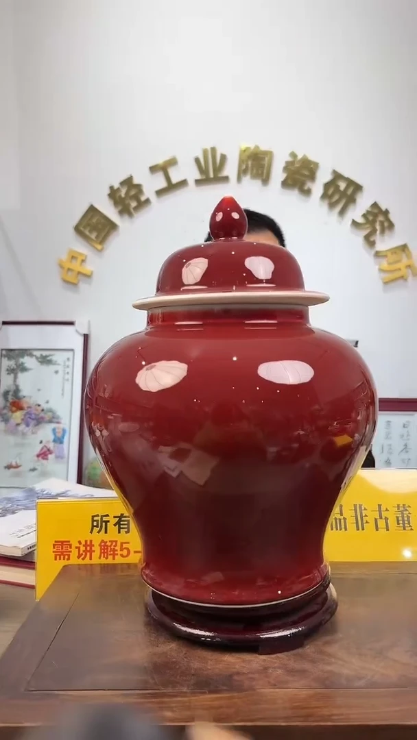 景德镇精美陶瓷郎红将军瓶