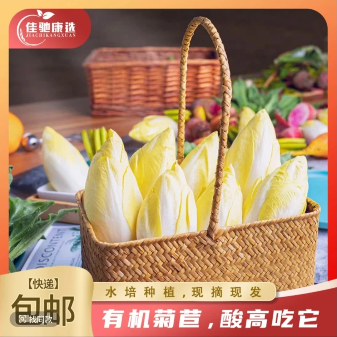有机菊苣-金玉兰菜有机营养健康新鲜发货现摘现发顺丰包邮2斤3斤4斤