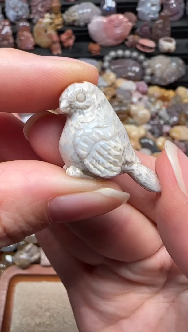 颈饰未镶嵌硅化珊瑚（珊瑚玉）821