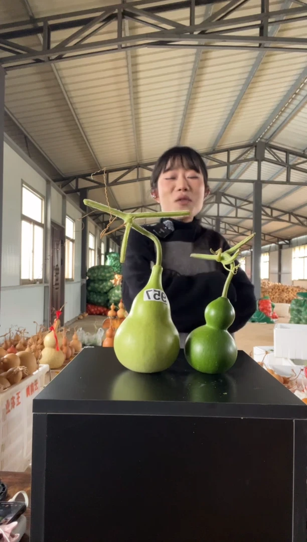 李*青957天然葫芦摆件 一物一拍龙头和送的青皮葫芦不保售后