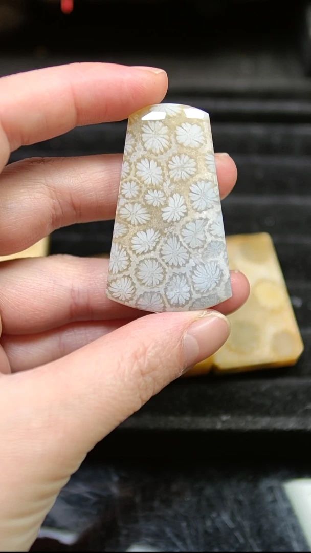 未镶嵌颈饰硅化玉共生小白花