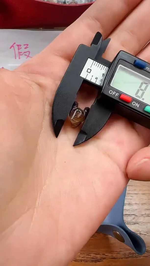 【闪购商品】玛瑙/玉髓颈饰未镶嵌【 肖钟出品 】