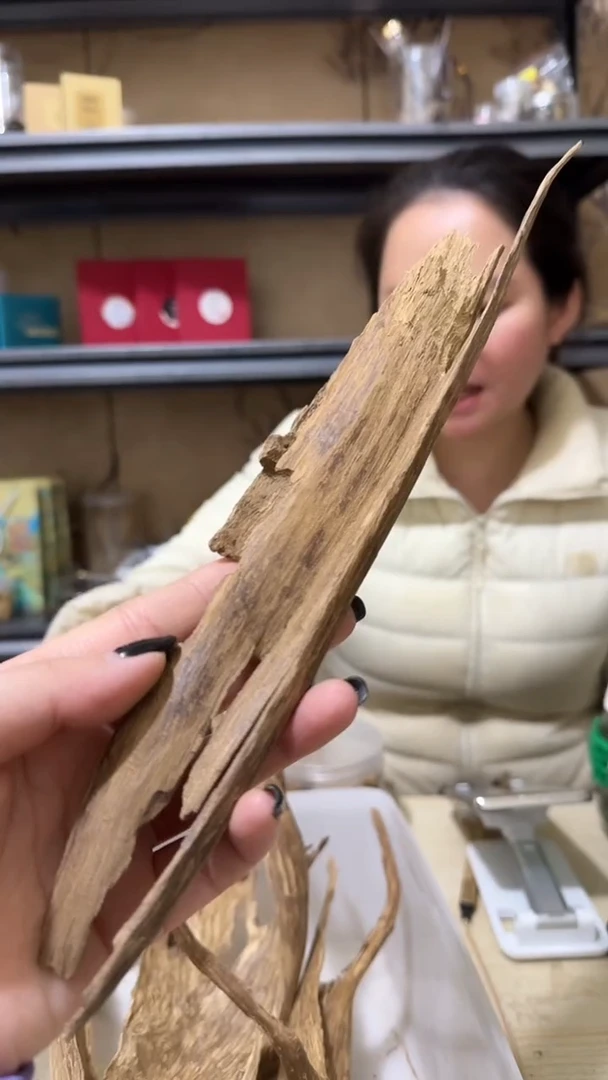 【闪购商品】沉香摆件163号海南根部野料14克+