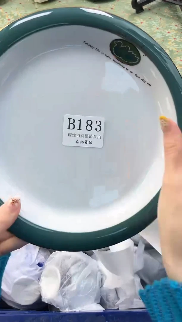 【闪购商品】瓷片          B183