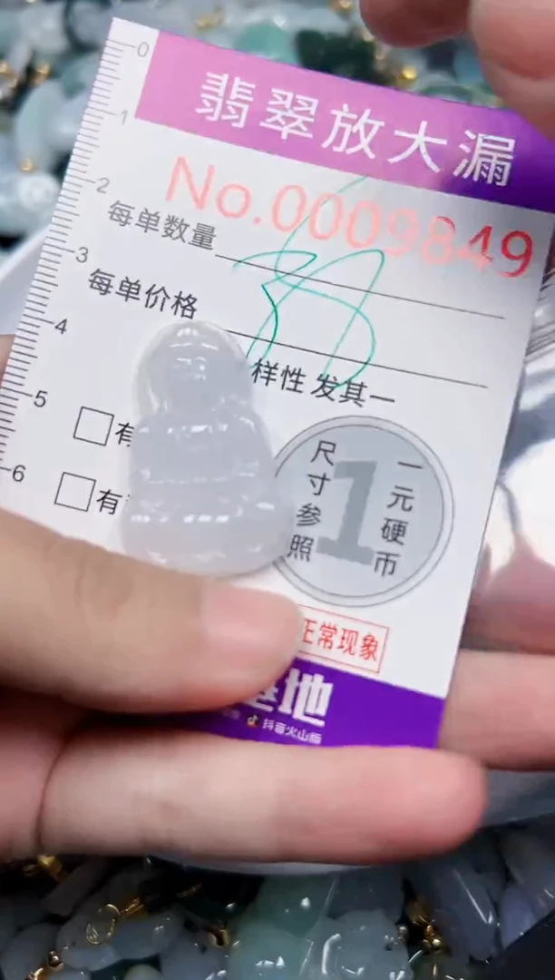 颈饰未镶嵌翡翠9849