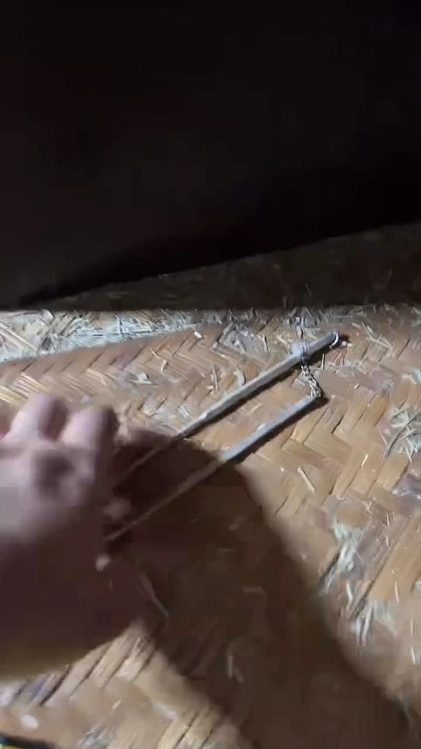 呃呃呃呃呃呃呃呃27