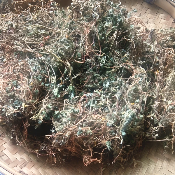 贵州酸浆草干货 酢浆草斑鸠酸酸草三叶酸草熬水泡茶500克非金银花