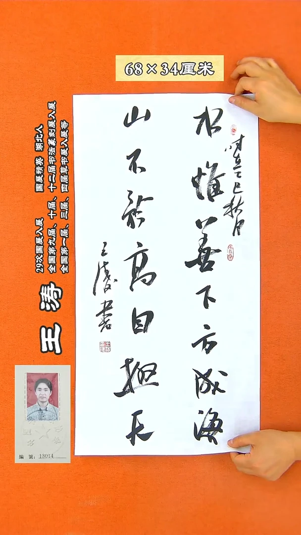 书法141D王涛书法作品