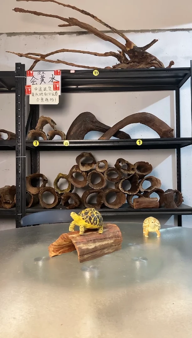 ?**号鱼缸爬宠造景素材248
