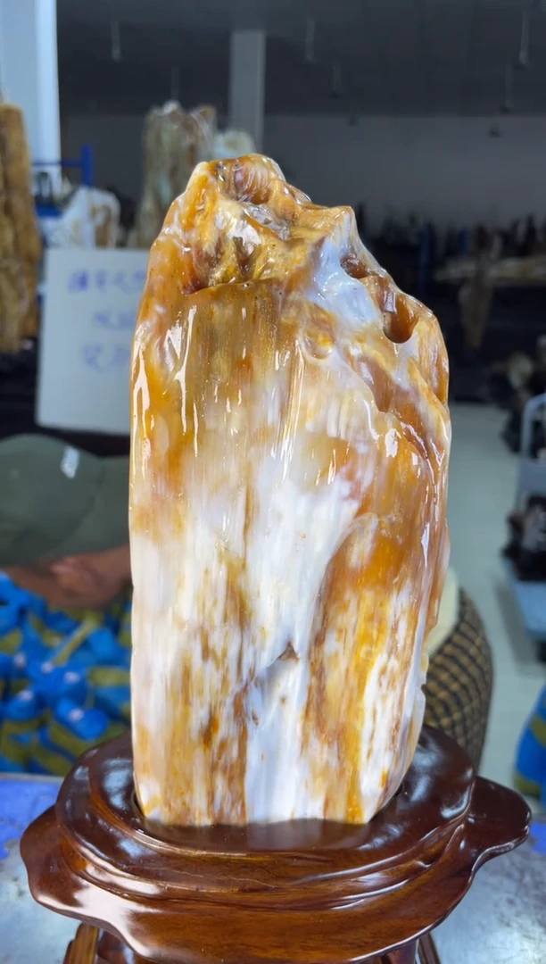 未镶嵌摆件硅化玉45