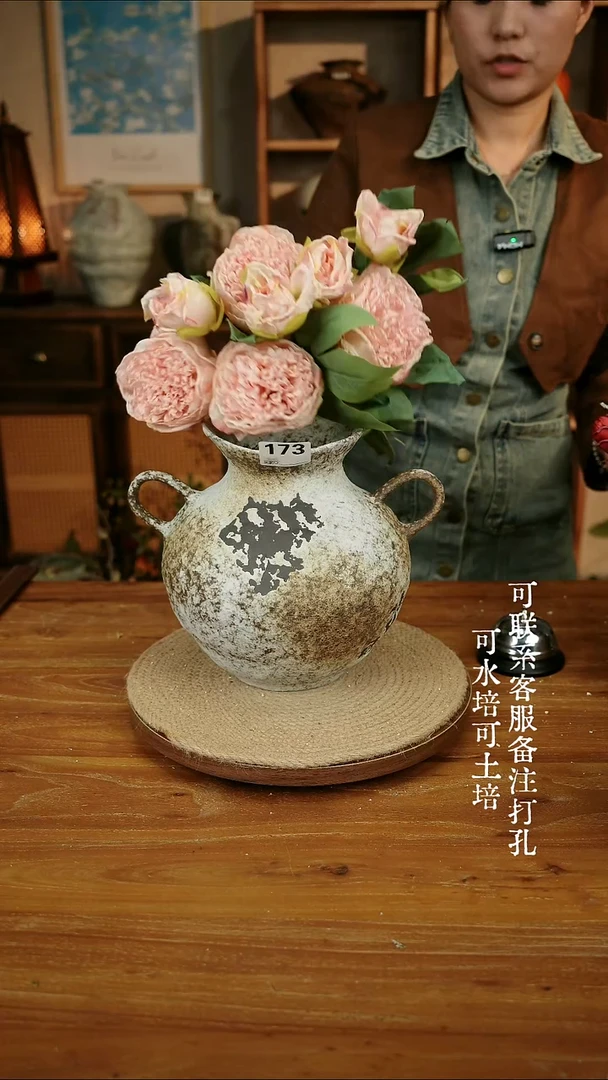 摆件173侘寂风双耳瓶可水培可土培