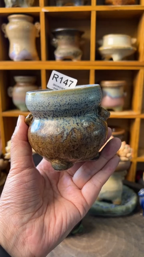 ៚****༗147【多肉花盆多肉盆】