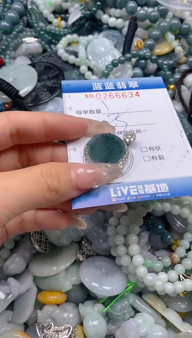 翡翠未镶嵌颈饰闪购0266634多样性发其一