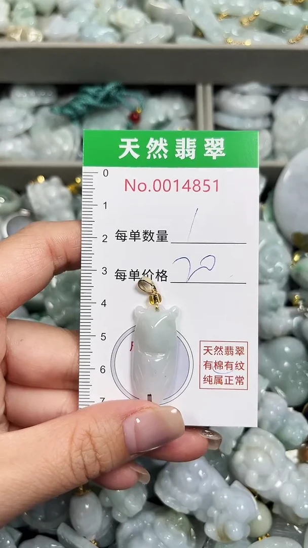 翡翠未镶嵌吊坠(不含链)4851