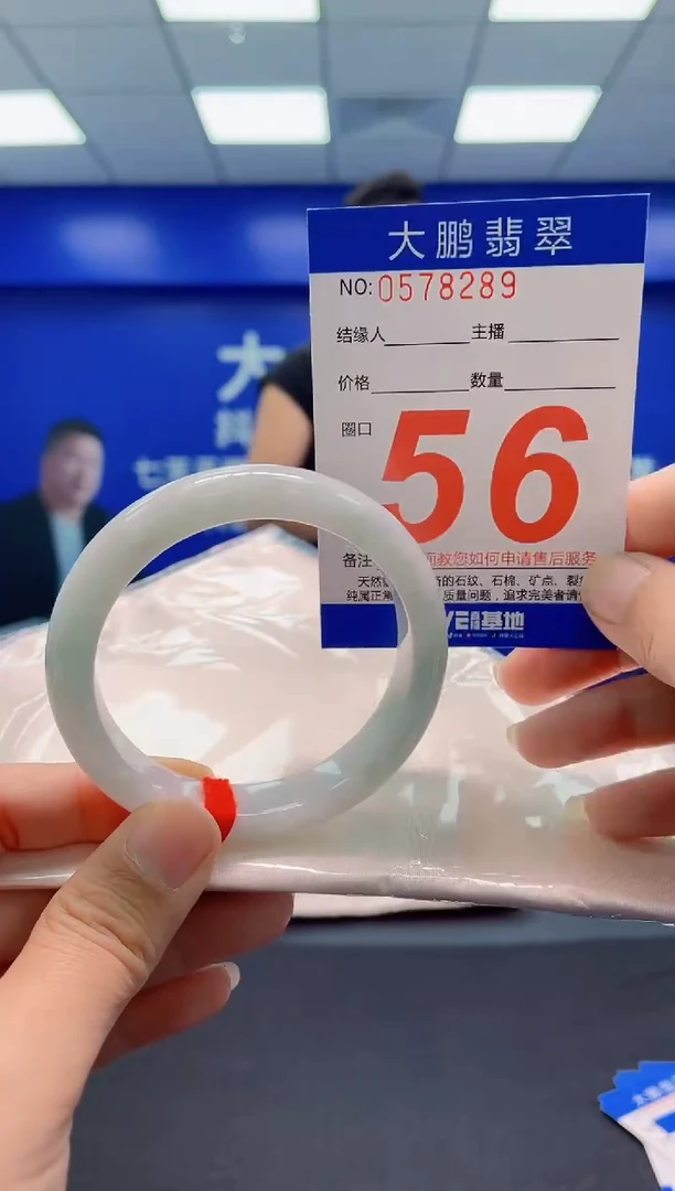 未镶嵌手镯翡翠AAAAAAAAA