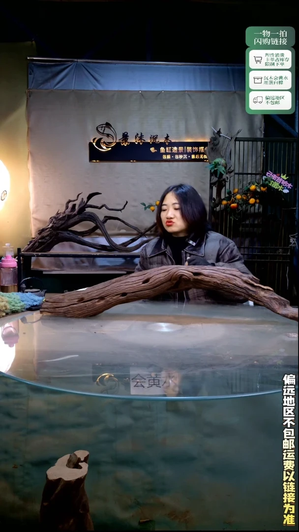 查*景沐沉木B192