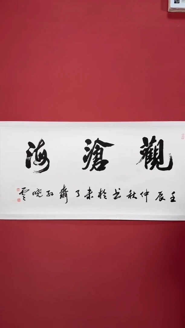 书法观沧海书法11
