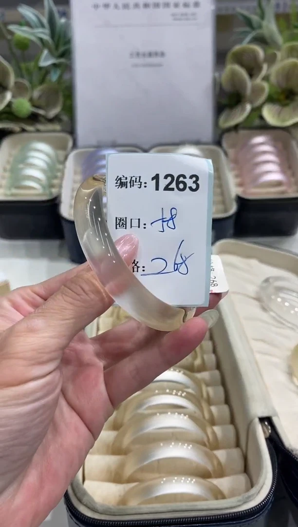 非金属无编码1263