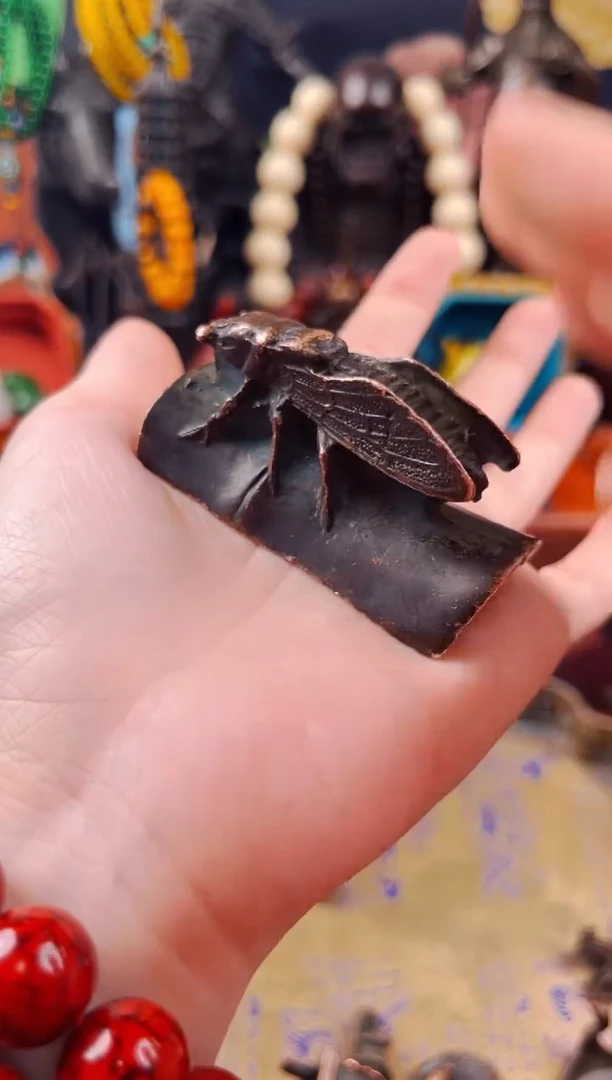 【闪购商品】飞飞直播推荐精品5