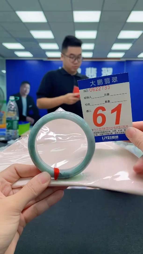 未镶嵌手镯翡翠AAAAAAAAA
