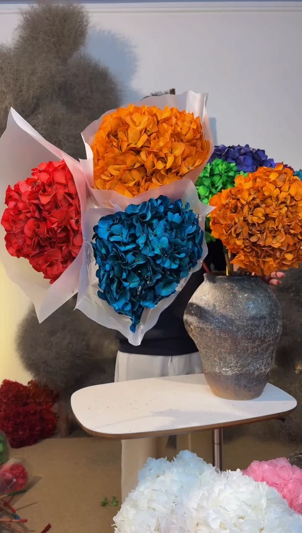 195 山前小麦 · 永生大叶绣球 3枝红橙蓝